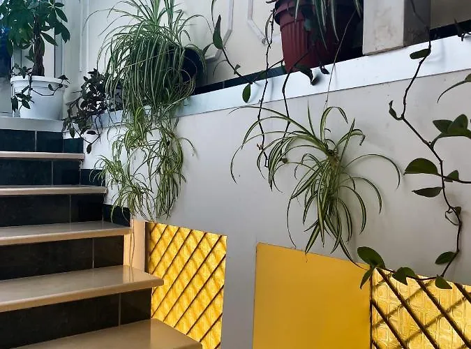 4 Corone Affittacamere 3*