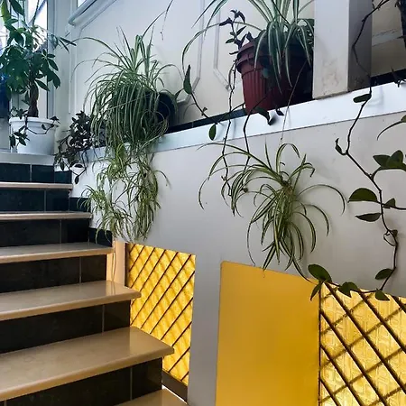 4 Corone Гостевой дом 3*